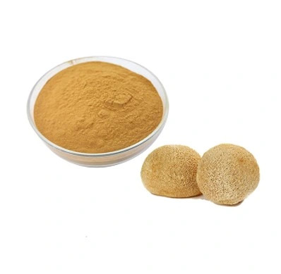 Leeuw′ s Mane Mushroom Extract Hericium Erinaceus Uittreksel 10%-50% Polysacchariden
