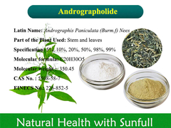 Andrographis Paniculata-extract Andrographolide