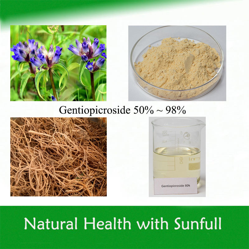 Gentiana Scabra Extract Gentiopicroside 50%-98% Gentiopicrin CAS nr. 20831-76-9 Cosmetische producten Ingrediënt