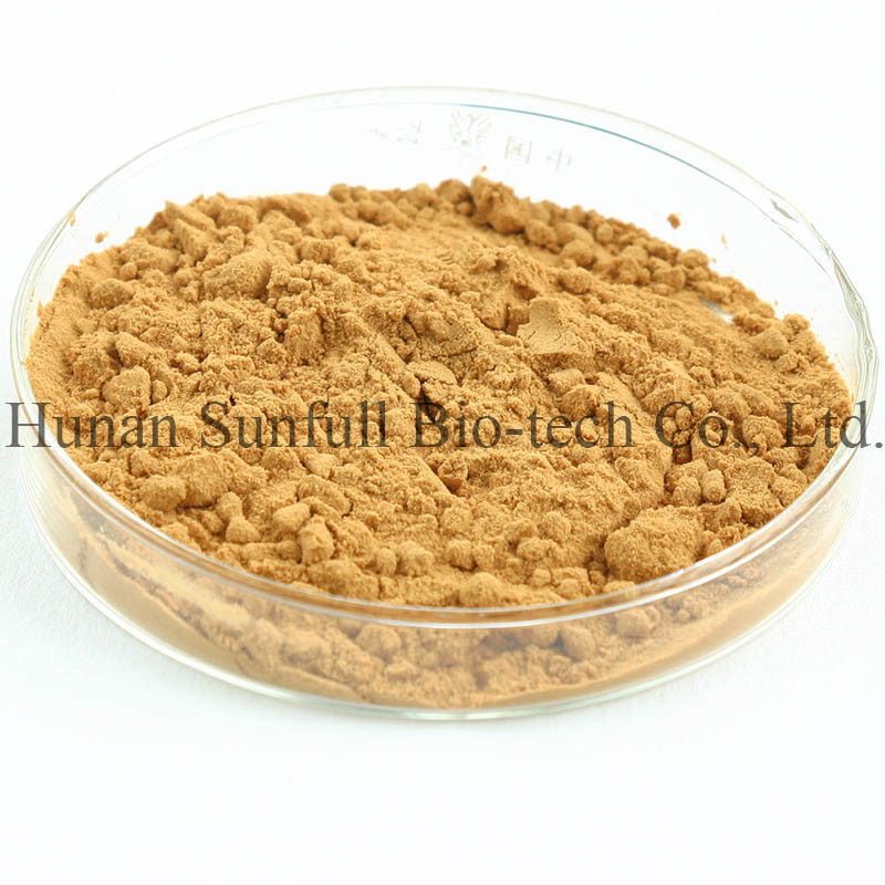 100% natuurlijk melkdistel extract poeder van zaden van Silybum Marianum voor levercelgroei