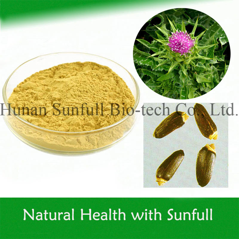 100% natuurlijk melkdistel extract poeder van zaden van Silybum Marianum voor levercelgroei