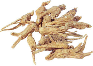 Zwaardachtig Atractylodes Rhizome Extract 10: 1 De gouden standaard voor vitaliteit van het bloed en de gezondheid van vrouwen