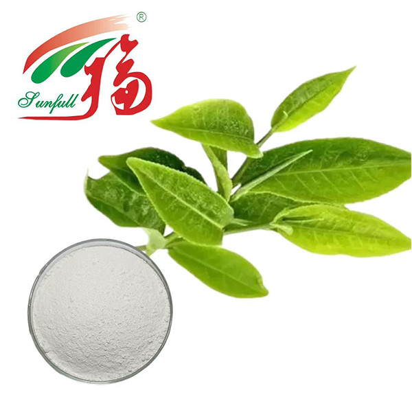 De ultieme antioxidant kracht! 98% EGCG groene thee-extract - de natuur's schild voor vitaliteit