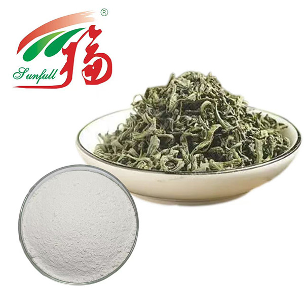 De ultieme antioxidant kracht! 98% EGCG groene thee-extract - de natuur's schild voor vitaliteit