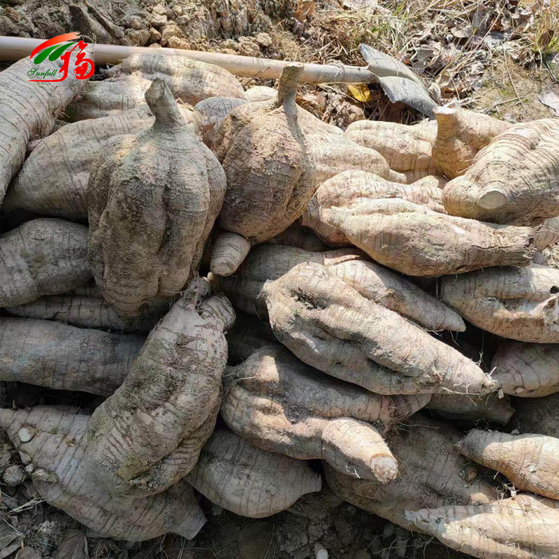 Uittreksel uit de natuurlijke kudzu wortel Puerarin met 25% 60% 98%