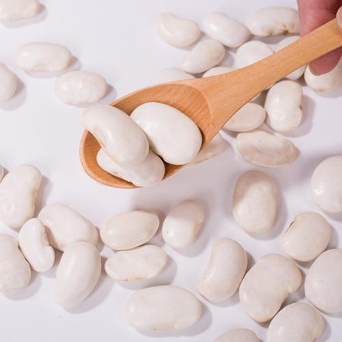 Premium Witte Kidneyboon Extract (Phaseolus Vulgaris) - Hoogzuivere α-Amylaseremmer voor Gewichts- & Bloedsuikerbeheer