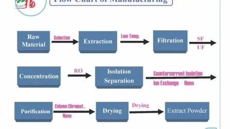Cordyceps Sinensis-extractpoeder met 10% polysaccharide voor ontstekingsremmende fijne bruine gele poeder