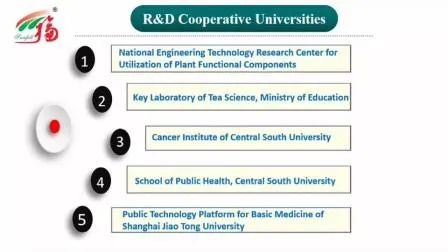 Morchella Esculenta Extract Poeder met 100% Door 80 Mesh, 2 Jaar Houdbaarheid en 20t/Jaar Productiecapaciteit