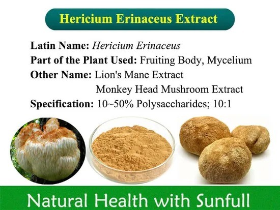 Hericium Erinaceus Extract 50% polysacchariden voor gezondheidsproducten en maagziekten in fijn bruin geel poeder