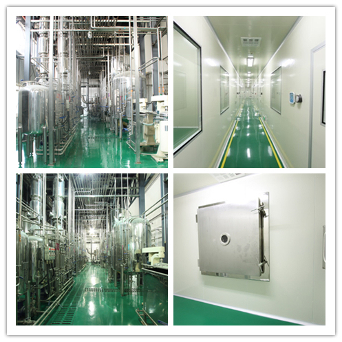 Natuurlijk Coprinus Comatus Extract Poeder met 50% Polysachariden 80 Mesh Grootte en 2 Jaar Houdbaarheid