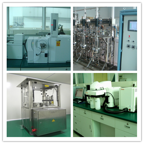 Coprinus Comatus-extractpoeder met een levensduur van 2 jaar, 80 mesh en een productiecapaciteit van 20 ton per jaar