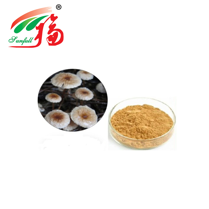 Hoogwaardig extractpoeder van Marasmius Androsaceus met een maasgrootte van 80 en een levensduur van 2 jaar en een productiecapaciteit van 20 ton per jaar
