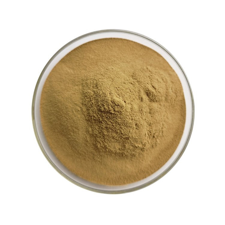 Black Fungus Extract Powder with 30% Polysaccharides for Functional Food Anti-Aging Hypolipidemic and Anti-Thrombus Benefits