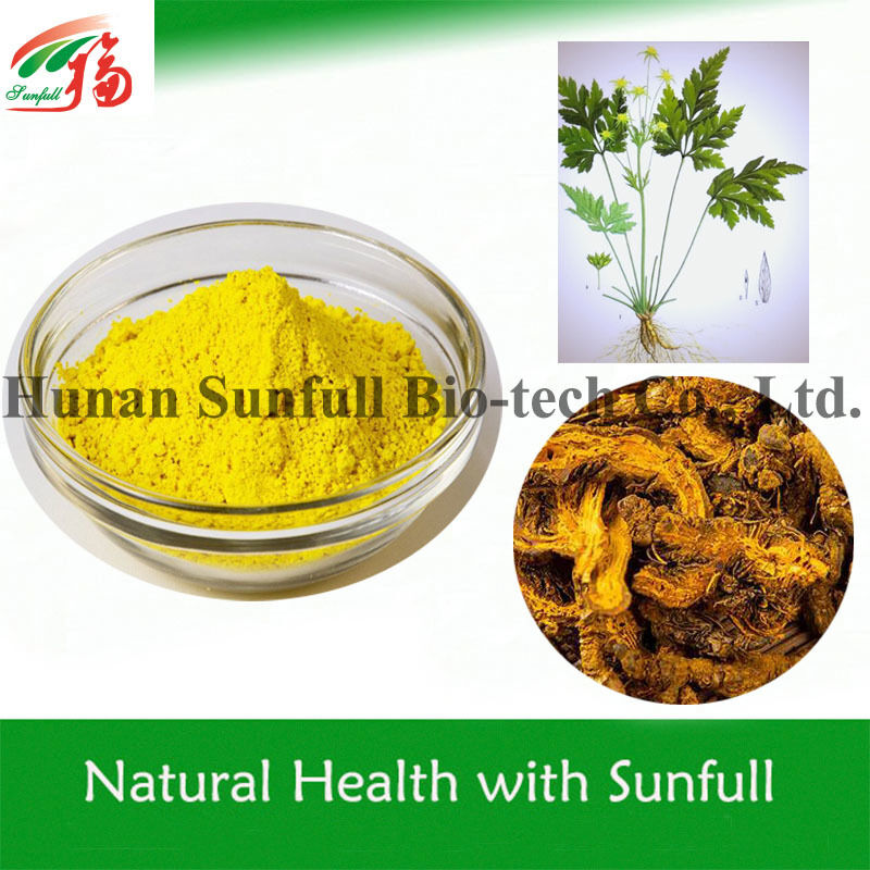 100% natuurlijk berberinehydrochloride 97% 98% uit Coptis chinensis wortel met CAS-nummer 633-65-8