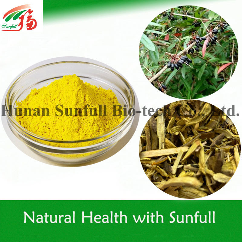 Antibacteriële extract Berberine hydrochloride Geel kristallijns poeder van de soort Berberis (Barberry) met CAS-nummer 633-65-8