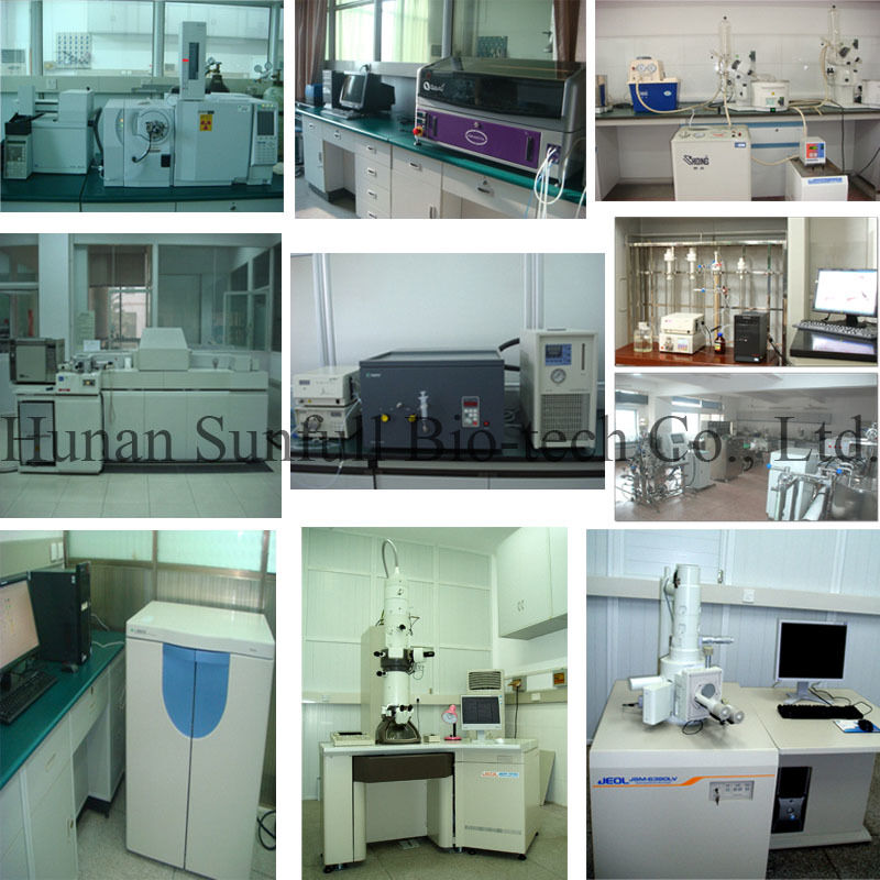 Antibacteriële extract Berberine hydrochloride Geel kristallijns poeder van de soort Berberis (Barberry) met CAS-nummer 633-65-8