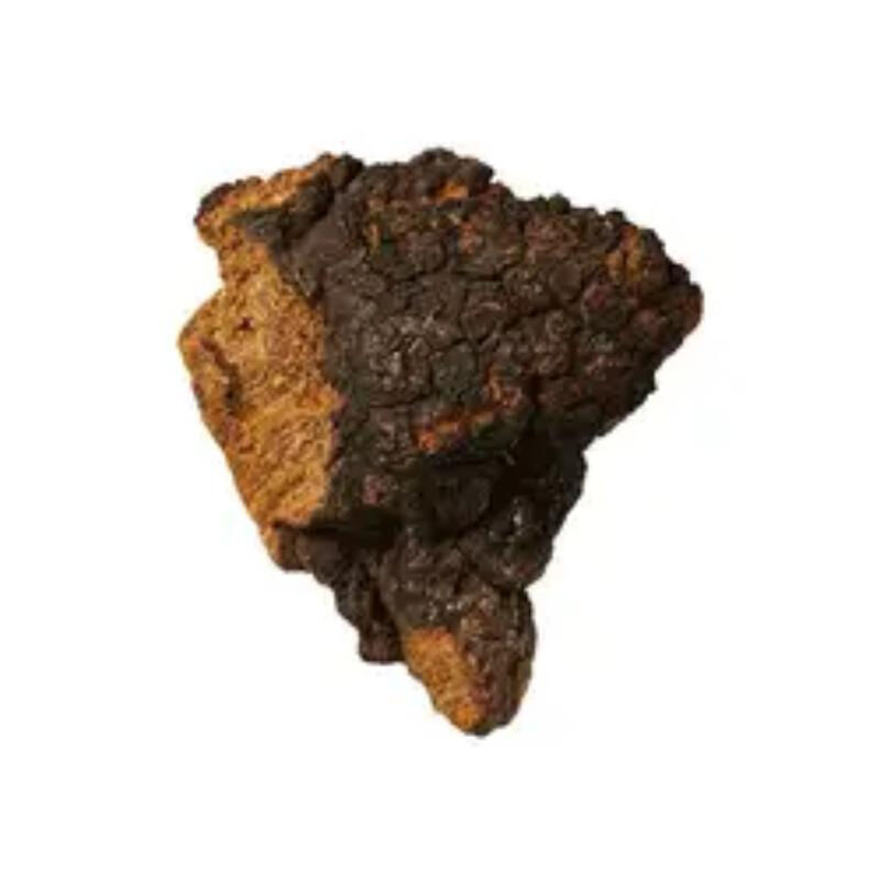 Chaga-extractpoeder 40% polysacchariden Fijnbruin geel poeder voor voedsel- en gezondheidszorgtoepassingen