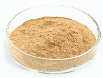 Oesterzwam Extract Poeder met 40% Polysachariden voor Anti-Tumor en Bloedsuikerregulatie in Functionele Voeding