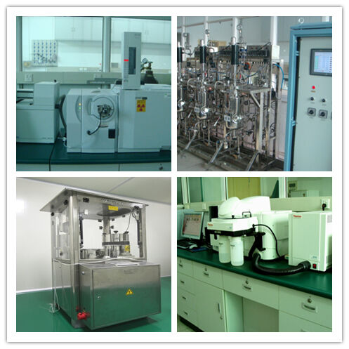 Poria Cocos Extract Poeder 30% Polysachariden Lichtgeel Bruin Poeder voor het Verbeteren van de Immuniteit