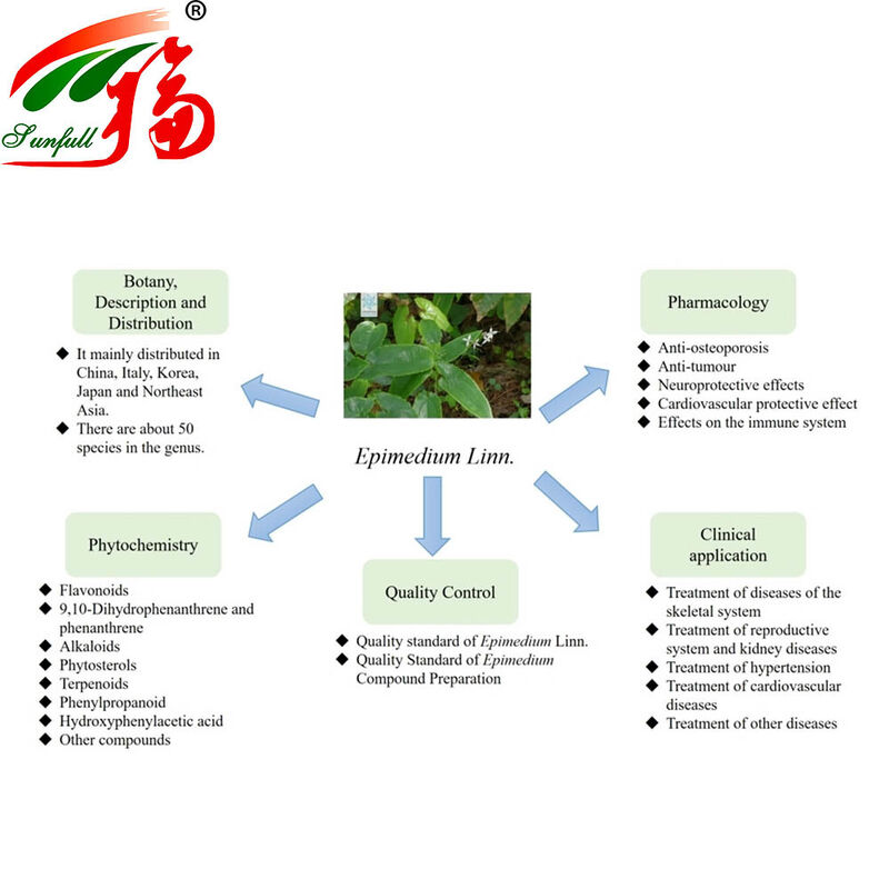 Fabrieksdirect 100% Natuurlijk Epimedium Extract 30% Icariins voor Seksuele Prestatieverbetering en Gezondheidssupplementen