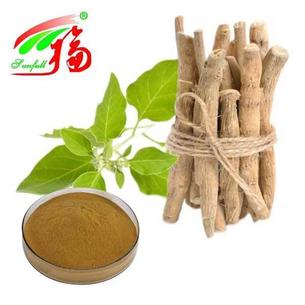 Withania Somnifera Zuid-Afrika Withanoliden 5% Ashwagandha Wortelextract Voedsel Gezondheidszorg Producten