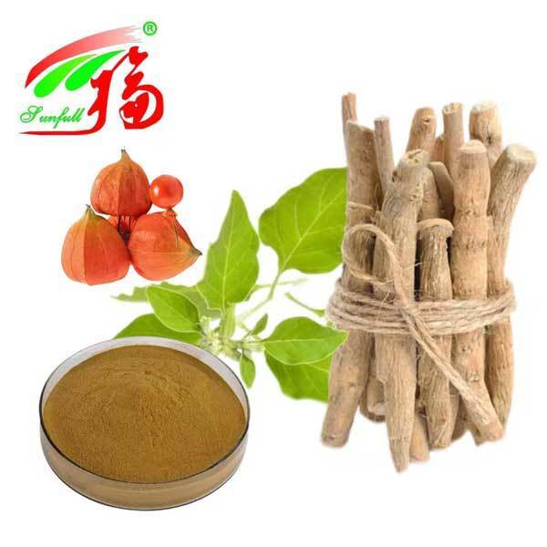 Withania Somnifera Zuid-Afrika Withanoliden 5% Ashwagandha Wortelextract Voedsel Gezondheidszorg Producten