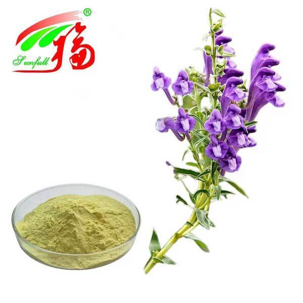 Gezondheidszorg Ingrediënten 10%~95% Baicalin Baicalein Poeder Scutellaria baicalensis Georgi Extract Radix Scutellariae Extract Baikal Skullcap Extract