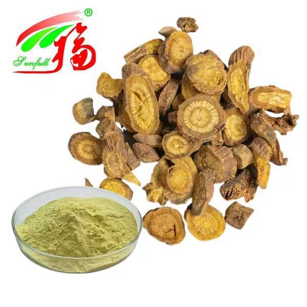 Gezondheidszorg Ingrediënten 10%~95% Baicalin Baicalein Poeder Scutellaria baicalensis Georgi Extract Radix Scutellariae Extract Baikal Skullcap Extract