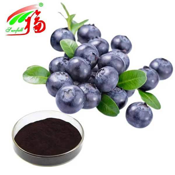 Blauwe bessen extract 10% 25% Anthocyanidinen (UV-VIS) Antioxidant Vaccinium Myrtillus L. Blauwe bes voor supplement ter ondersteuning van het gezichtsvermogen
