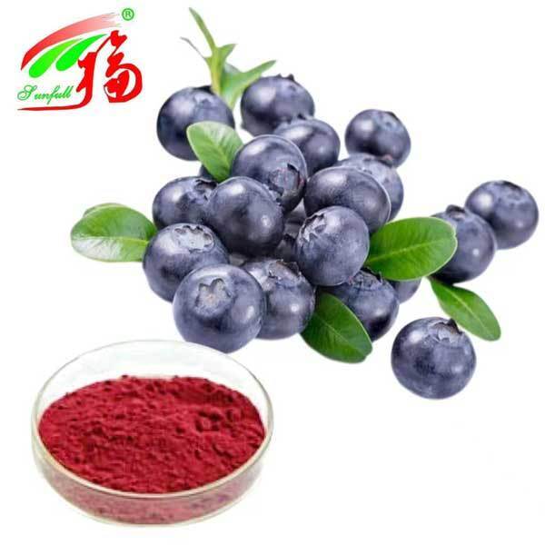 Blauwe bessen extract 10% 25% Anthocyanidinen (UV-VIS) Antioxidant Vaccinium Myrtillus L. Blauwe bes voor supplement ter ondersteuning van het gezichtsvermogen