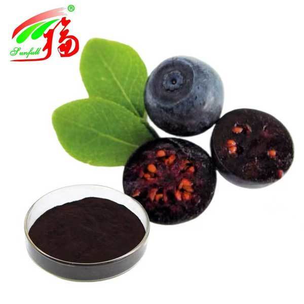 Blauwe bessen extract 10% 25% Anthocyanidinen (UV-VIS) Antioxidant Vaccinium Myrtillus L. Blauwe bes voor supplement ter ondersteuning van het gezichtsvermogen