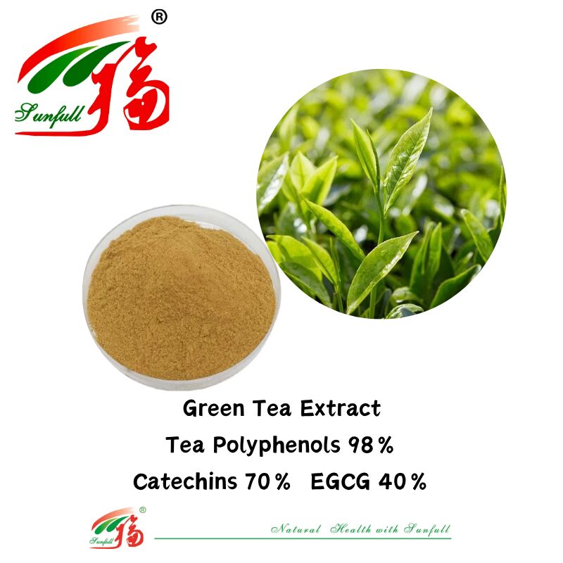 Hunan Sunfull Biologische kruiden Ingrediënten Theaflavinen 10~40% EGCG 40% Catechines 70% Theepolyfenolen 98% Groene Thee Extract