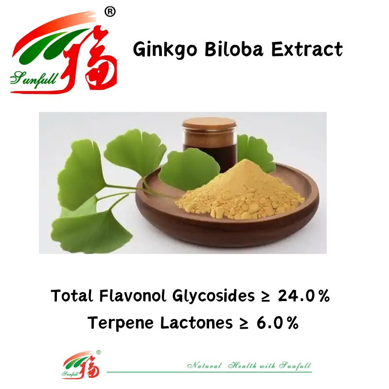 100% natuurlijk, oplosbaar in water 24% Ginkgolides Ginkgo Biloba blad extract poeder voor voedingssupplementen