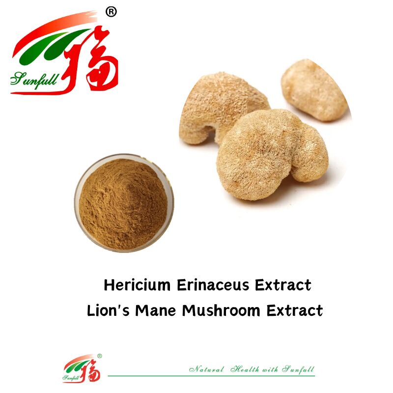 Hunan Sunfull voedingssupplementen Agaricus Subrufescens/Hericium Erinaceus/Antrodia/Cordyceps Sinensis/Coriolus Versicolor/Paddestoelextractpoeder