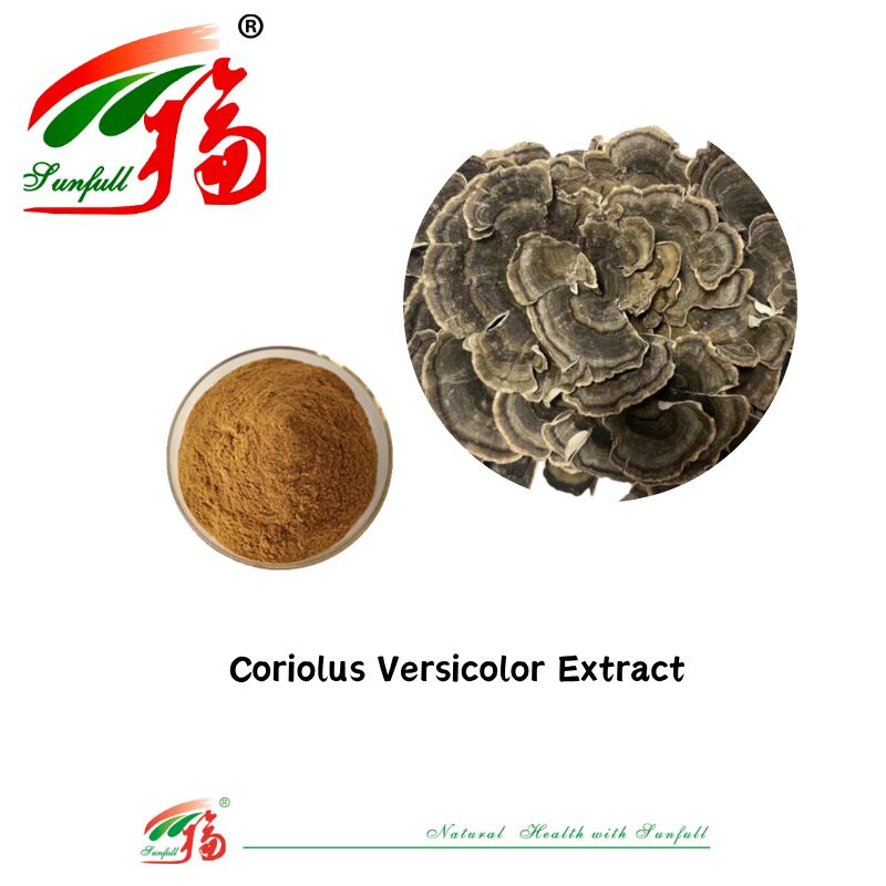 Hunan Sunfull voedingssupplementen Agaricus Subrufescens/Hericium Erinaceus/Antrodia/Cordyceps Sinensis/Coriolus Versicolor/Paddestoelextractpoeder