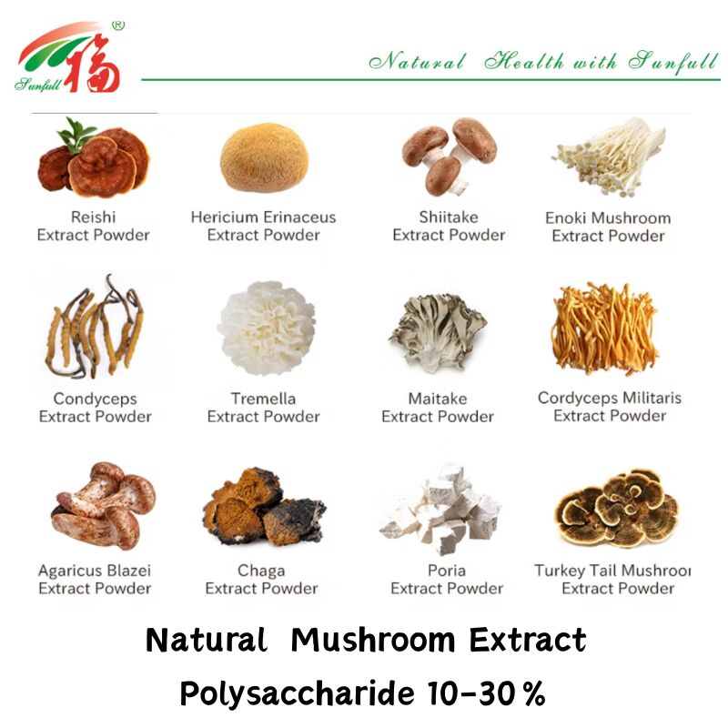 Natuurlijke biologische ingrediënten Voedingssupplementen Polysaccharide 10-30% Phellinus Igniarius/Ganoderma Lucidum/Chaga/Maitake/Shiitake paddenstofextract