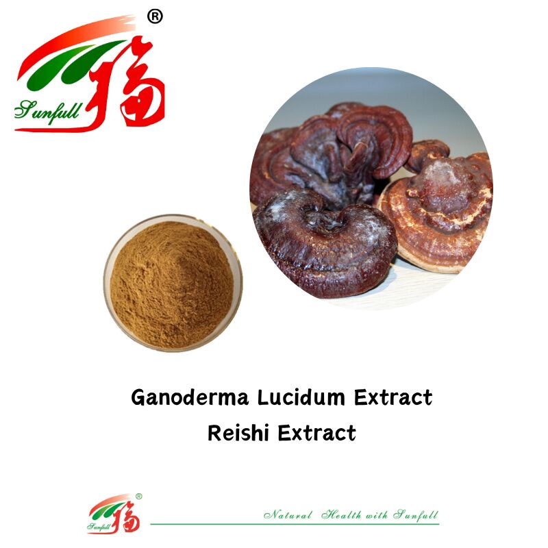Natuurlijke biologische ingrediënten Voedingssupplementen Polysaccharide 10-30% Phellinus Igniarius/Ganoderma Lucidum/Chaga/Maitake/Shiitake paddenstofextract