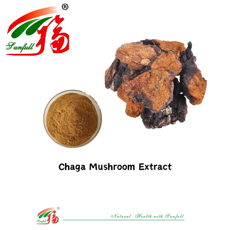 Natuurlijke biologische ingrediënten Voedingssupplementen Polysaccharide 10-30% Phellinus Igniarius/Ganoderma Lucidum/Chaga/Maitake/Shiitake paddenstofextract