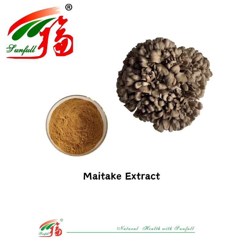 Natuurlijke biologische ingrediënten Voedingssupplementen Polysaccharide 10-30% Phellinus Igniarius/Ganoderma Lucidum/Chaga/Maitake/Shiitake paddenstofextract