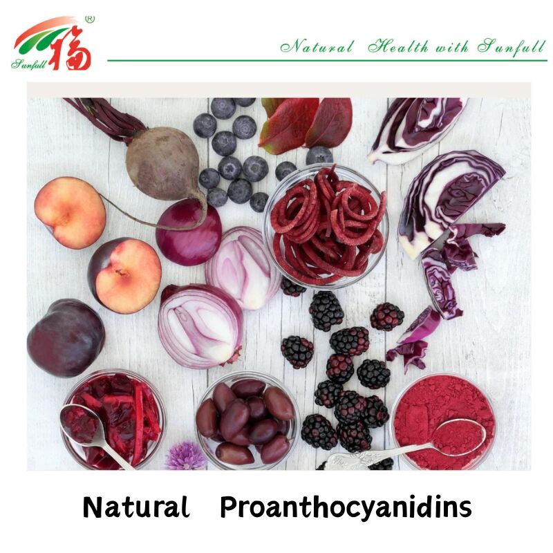 Fabrieksvoorziening Hoogwaardige 100% natuurlijke antioxidanten OPC Proanthocyanidine 95% Peanut Skin/Pine Bark/Cranberry/Grape Seed Extract