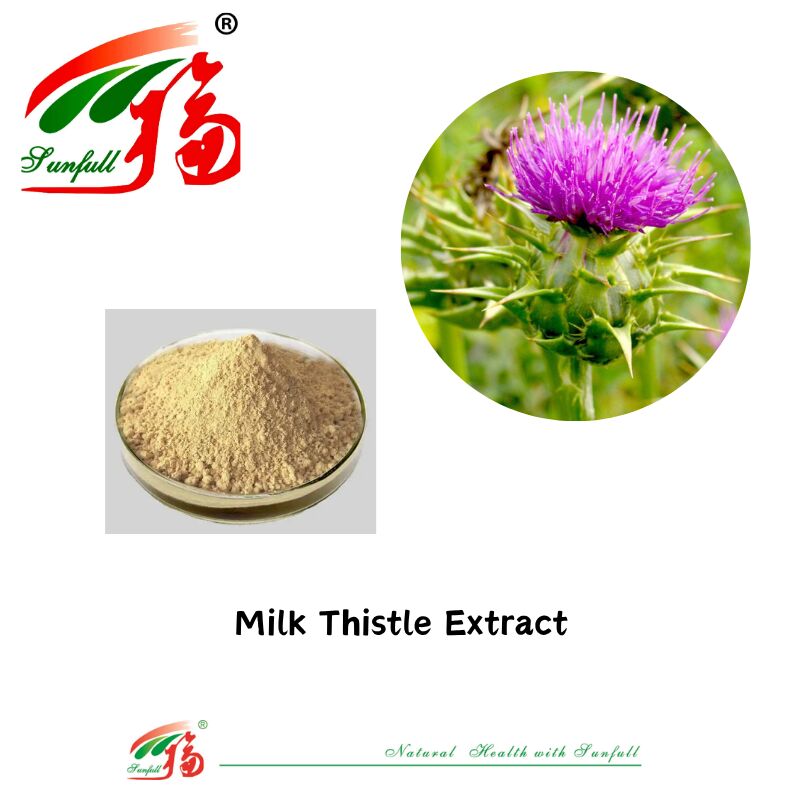 Kruidengeneesmiddelen Silybum Marianum Plant Gezegend distel Zaadpoeder 30% Silybins HPLC UV 40%~80% Liposomen 40%-80% Silymarin Milk Thistle Extract voor de gezondheid van de lever