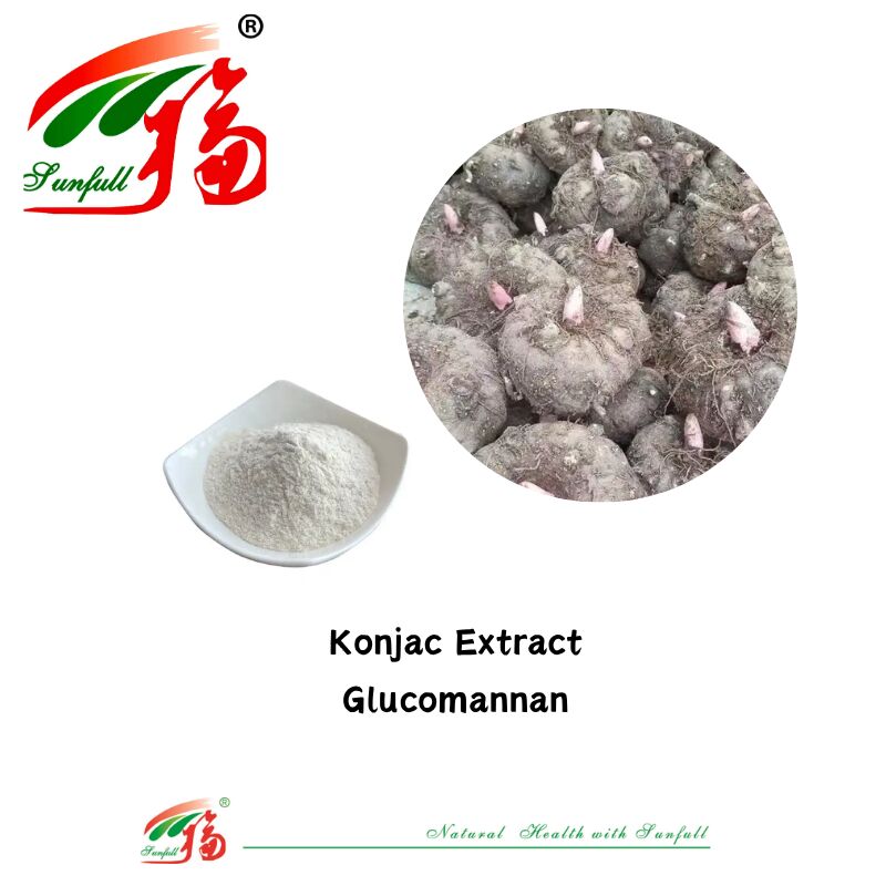 Hoge kwaliteit natuurlijke voedingssupplementen Konjca extract glucomannan 85% witte nierbonen extract poeder voor gewichtsverlies ondersteuning