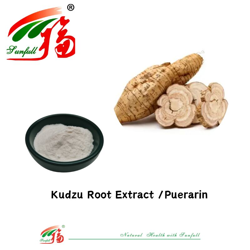 Gratis monster van hoge kwaliteit Kudzu wortel extract Pueraria Lobata extract Puerarin 10%-98% CAS 3681-99-0