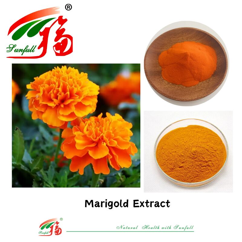Natuurlijke ingrediënten Gezondheid van de ogen Voedselkwaliteit Zeaxanthine 5% Wateroplosbaar Luteïne 5% HPLC Marigold Flower Extract