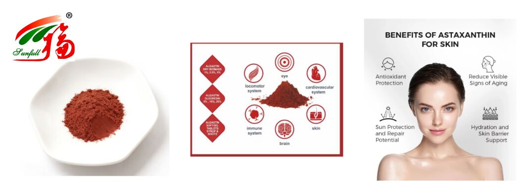 Sunfull Voedingsmiddelen Antioxidanten Gezondheidstoevoer Hoogwaardige 1%-10% Natuurlijk Haematococcus Pluvialis Extract/Astaxanthine Poeder