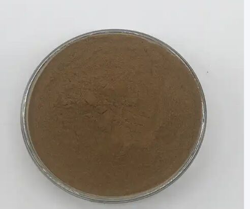 ISO/Kosher bevordert de spijsvertering Voedselgraad Cassia Zaad Extract 10: 1 / 20% HPLC Sennosides Senna Leaf Extract