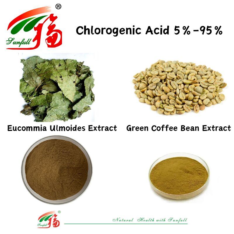 Voedingssupplementen voor diervoeders/voedingsmiddelen Eucommia ulmoides extract/groene koffiebonen extract Chlorogeenzuur 5%-98%
