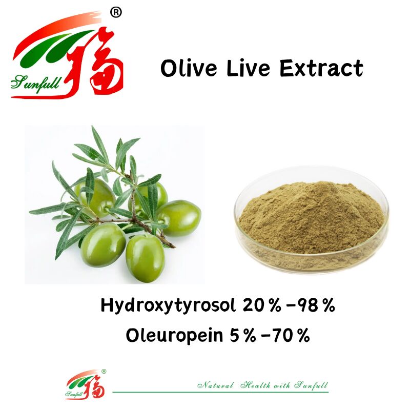 100% natuurlijke voedingssupplementen Gezondheidssupplementen Fabrieksvoorraad 80% Oleuropein /5%~20% Hydroxytyrosol Olijvenblaad Extract