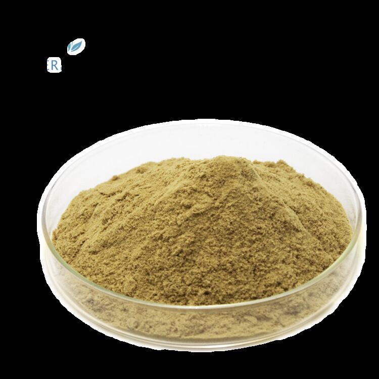 100% natuurlijke voedingssupplementen Gezondheidssupplementen Fabrieksvoorraad 80% Oleuropein /5%~20% Hydroxytyrosol Olijvenblaad Extract