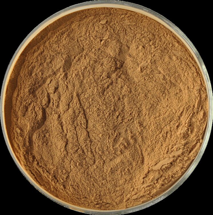 Bevorderen van de gezondheid van mannen Natuurlijke hoogwaardige fenegriekzaadextract Saponinen 20% / Fenylethanoïdeglycosiden 40% / Echinacoside 8% Cistanche-extract